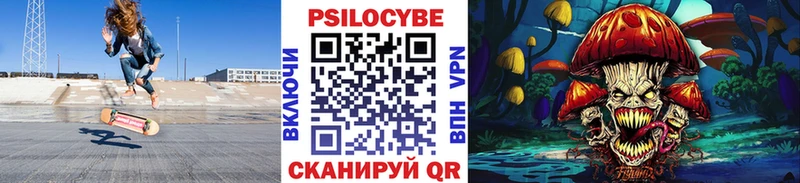 Псилоцибиновые грибы Psilocybine cubensis  Белебей 